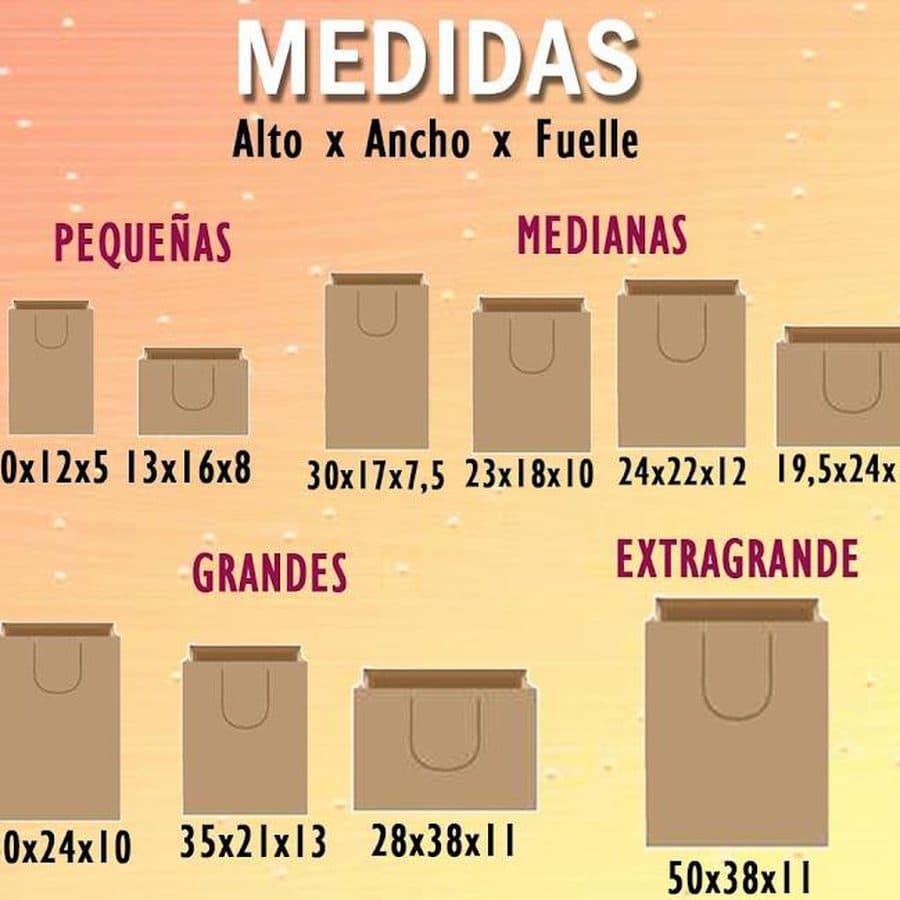 Bolsas de papel con cargadera de cinta en distintos materiales y tamaños